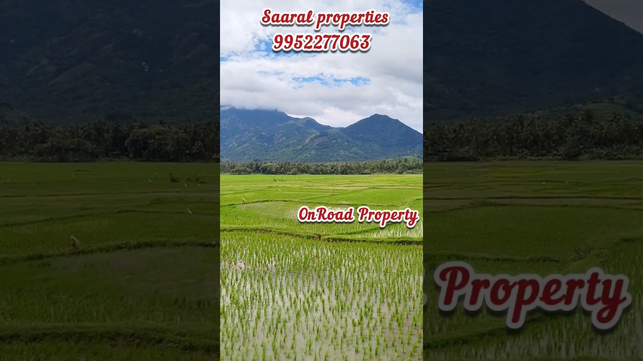 51 Cent Best HillView OnRoad Property || 100 Feet Road frontage ||Farmhouse property #tenkasi #farm