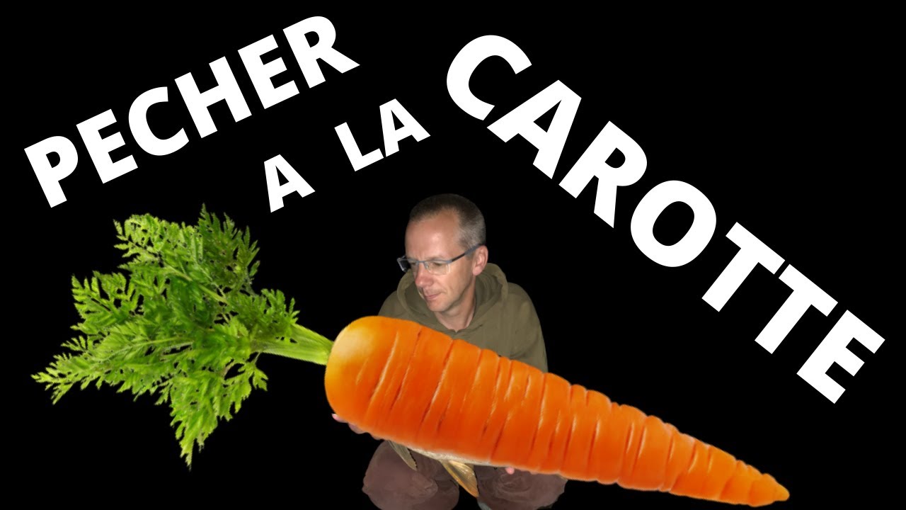 Pêcher la carpe à la CAROTTE / Osez les appâts alternatifs + Remerciements 100 premiers abonnés