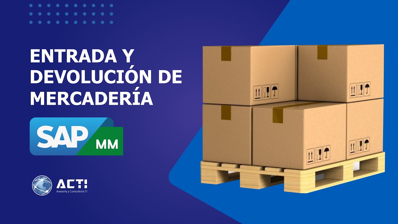 Taller Gratis 🎁 // Entrada y devolución de mercadería // SAP MM