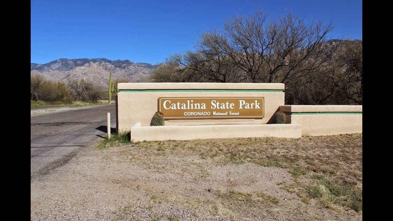Take a Look at  the Amazing Catalina State Park in Arizona