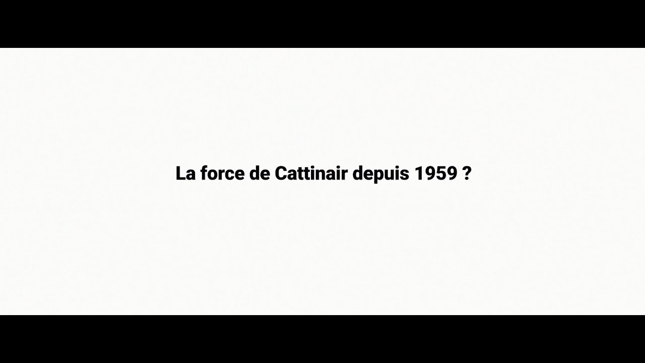 Plongez au cœur d’une affaire chez CATTINAIR !