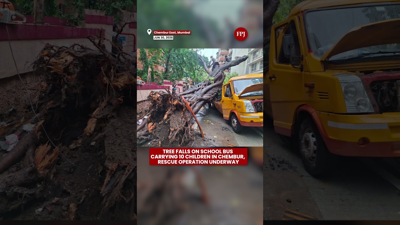 Chembur Tree Fall: School Bus With 10 Children Hit Near St  Anthony's High School