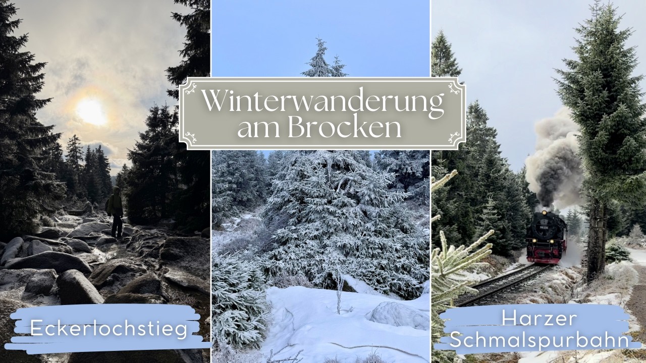 Mit der Harzer Schmalspurbahn zum Brocken & Winterwanderung über den Eckerlochstieg nach Schierke