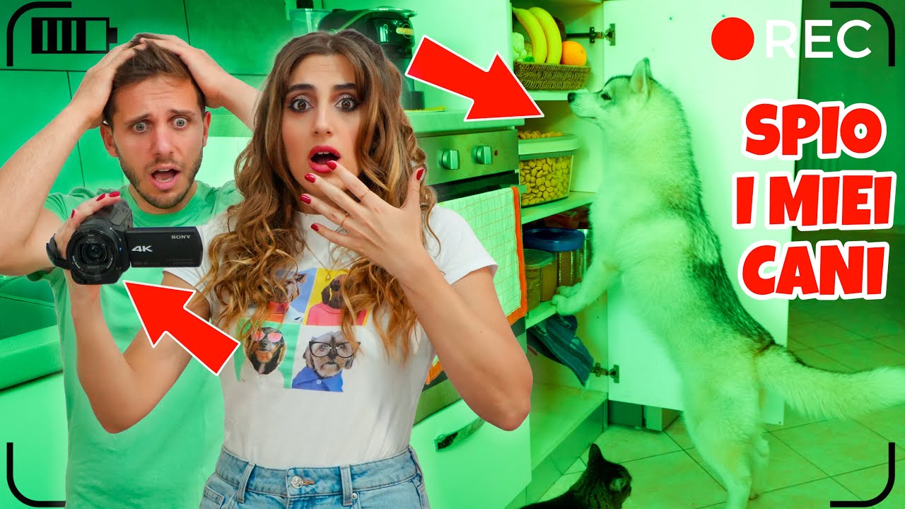 SPIO i miei CANI di NOTTE e SCOPRO cosa fanno mentre DORMIAMO 😱🐶😳 | MARTY E YUKO
