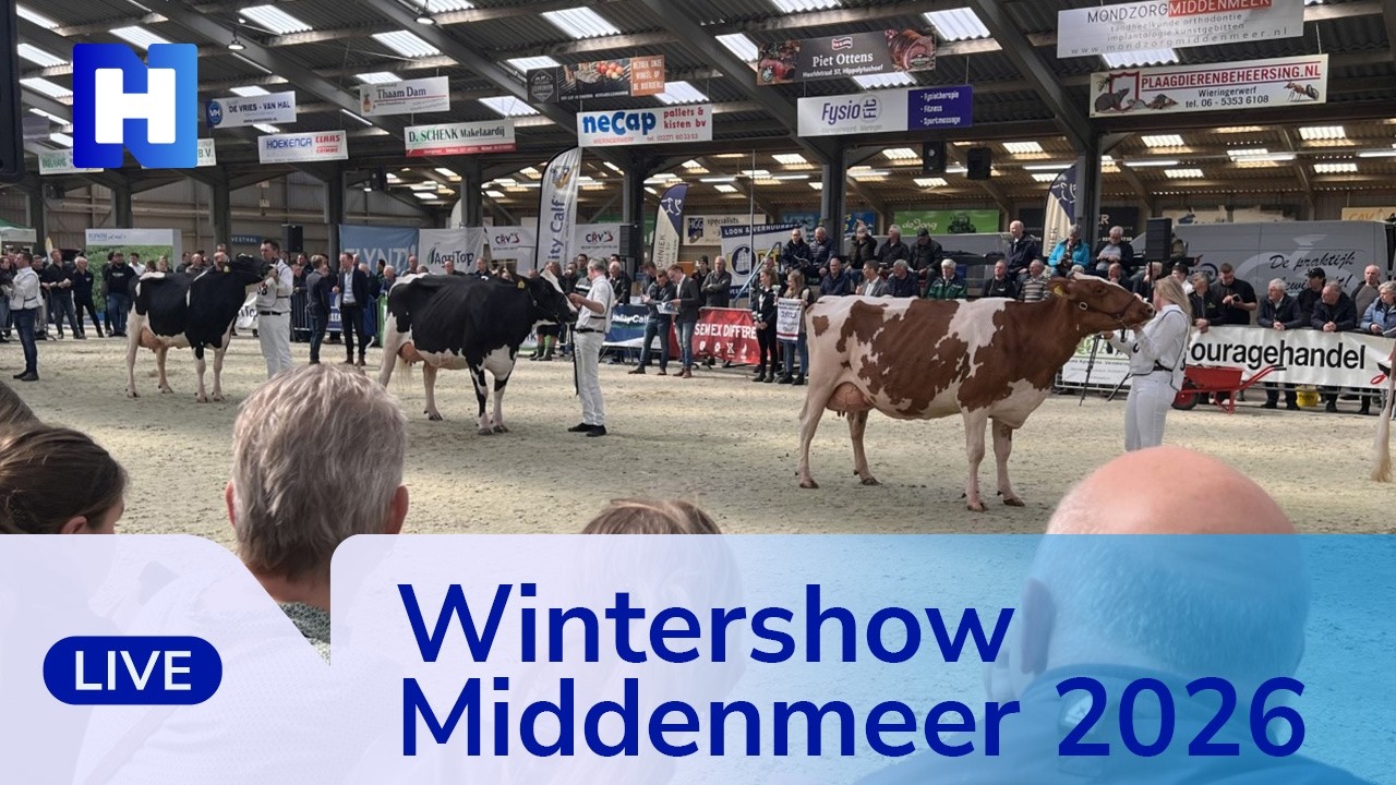 TERUGKIJKEN: uitslag Koeienkeuring Wintershow in Middenmeer 2026