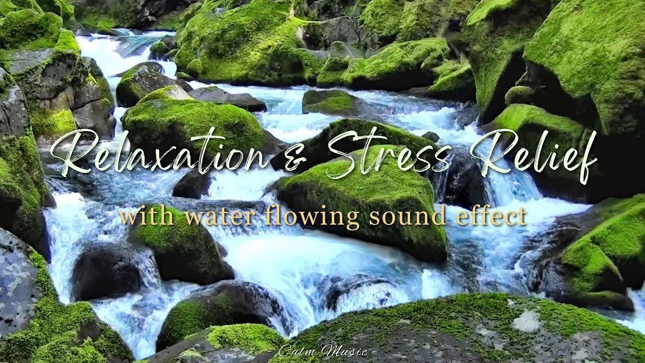 Calm Music | Relaxing Piano & River Sounds 🌊🎹 Stress Relief Music for Calm, Mindfulness & Peace