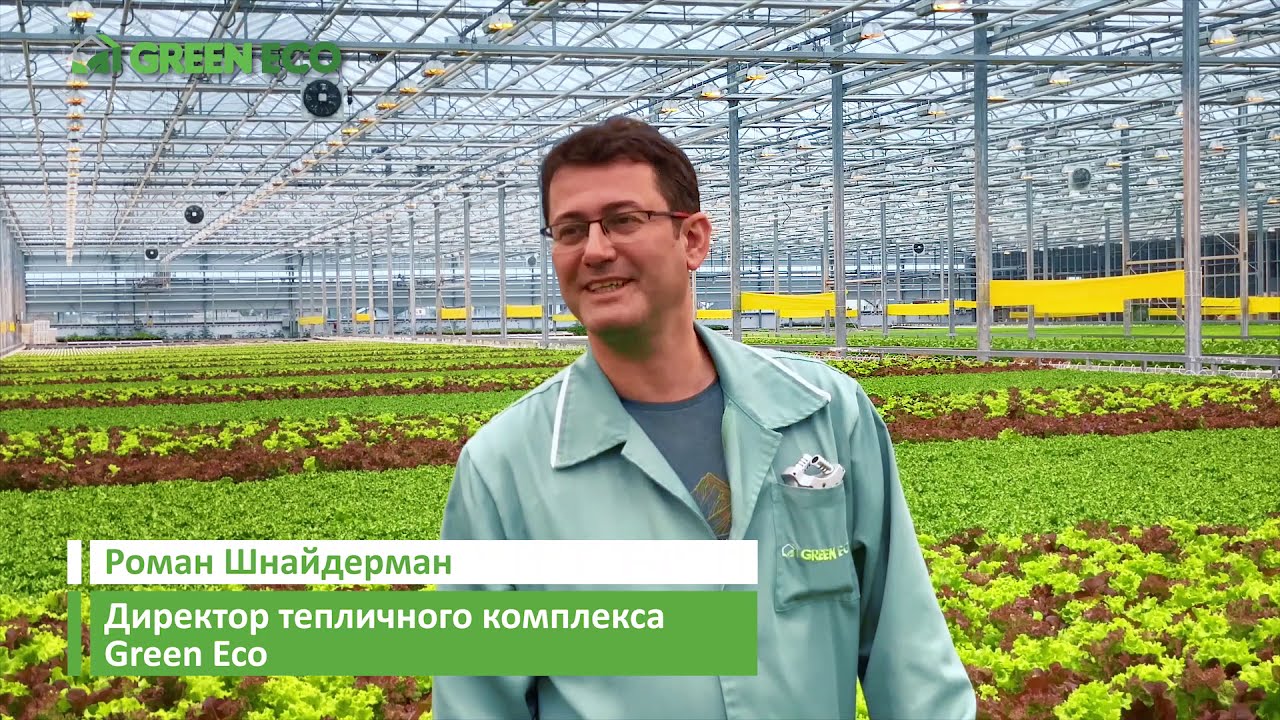Секреты салатов Green Eco