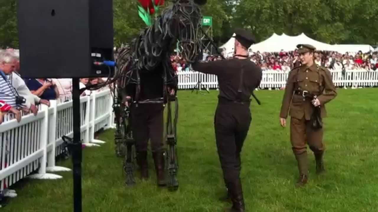 War Horse