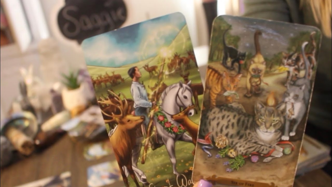 SAGITTARIUS: “WHATEVER YOU DID WORKED IN YOUR FAVOR WITH THIS PERSON” 💗🫢 SEPTEMBER 2024 TAROT LOVE