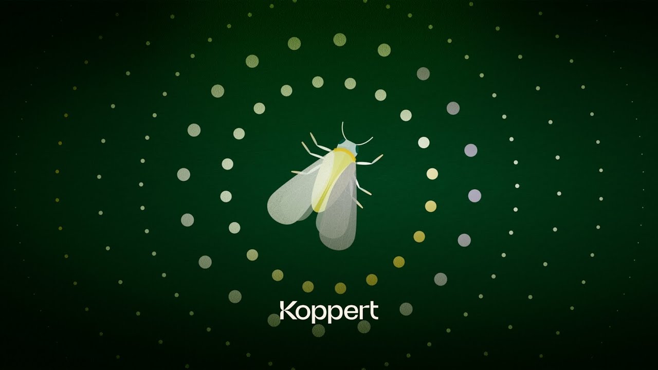 Modo de A&ccedil;&atilde;o - Mosca-branca (Bemisia tabaci)