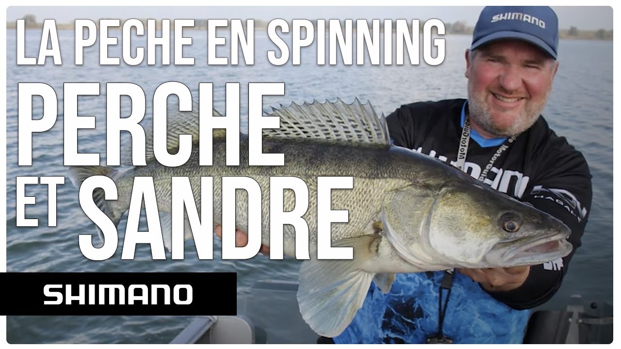 La peche en spinning perche et sandre/ Spinning for perch and zander