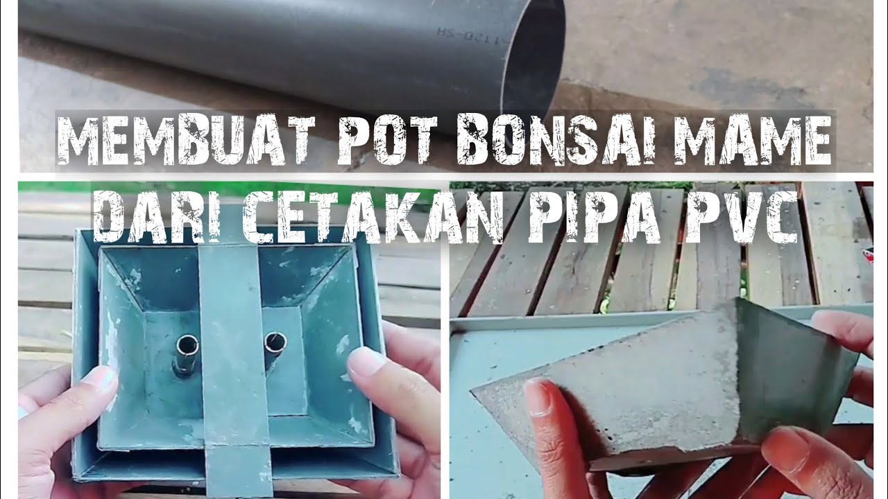 MEMBUAT POT BONSAI MAME DARI CETAKAN PIPA PVC | how to make a bonsai pot from a PVC pipe mol