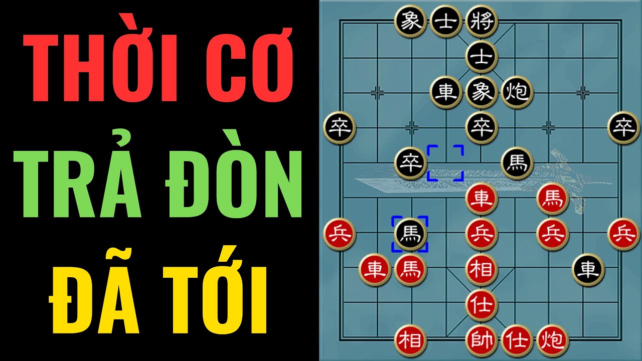 Kỳ tiên Hồ Vinh Hoa và món ruột phi tượng cuộc - Nghệ thuật ngụy trang phản công