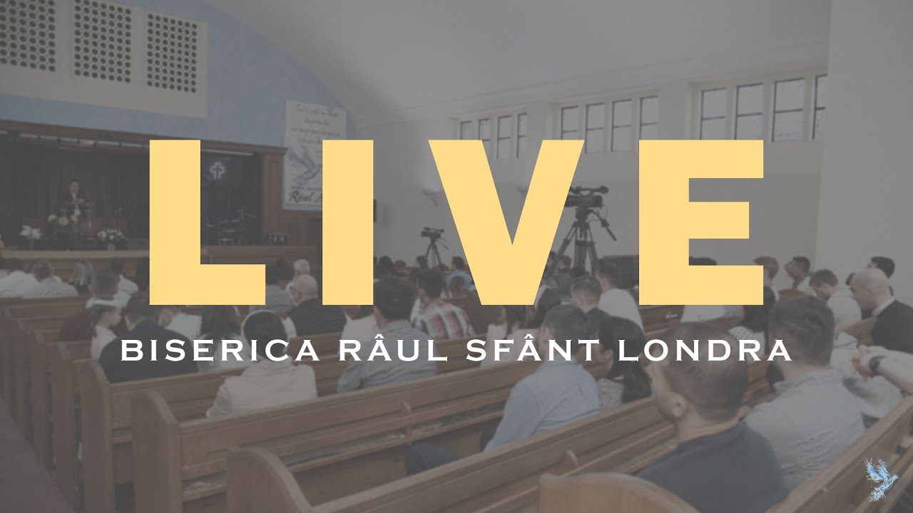 Raul Sfant - LIVE