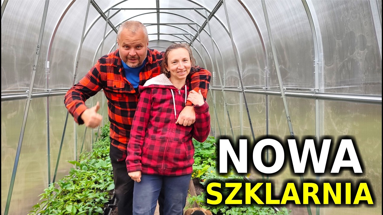 Ale zrobiliśmy szklarnię - dwumetrową...