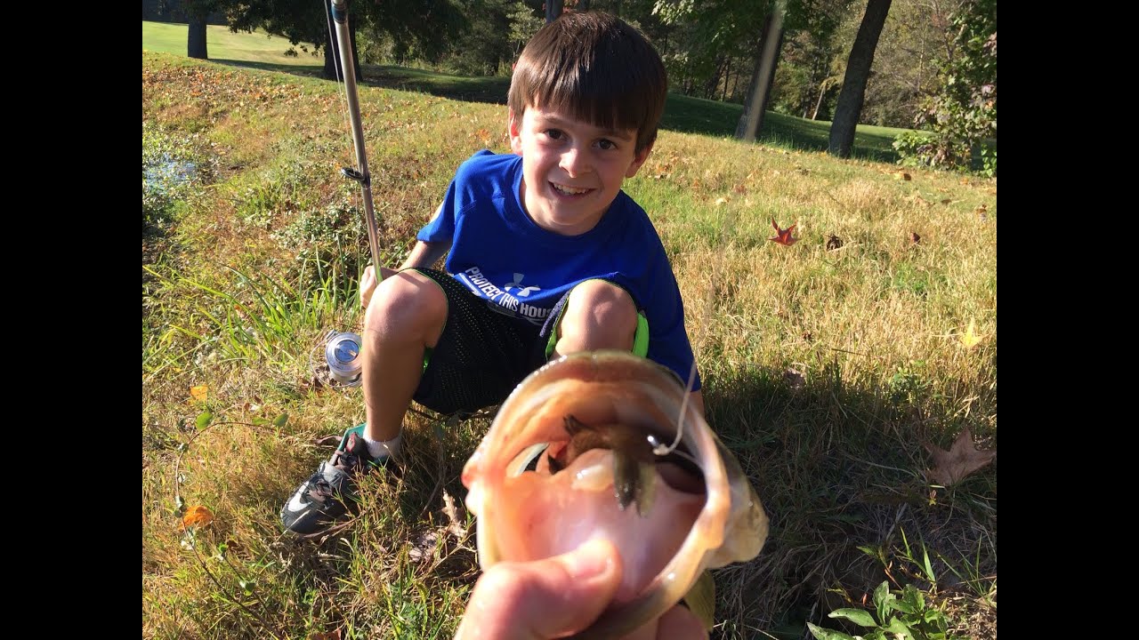 Как поймать окуня на живого синежаберного малька от 1Rod1ReelFishing