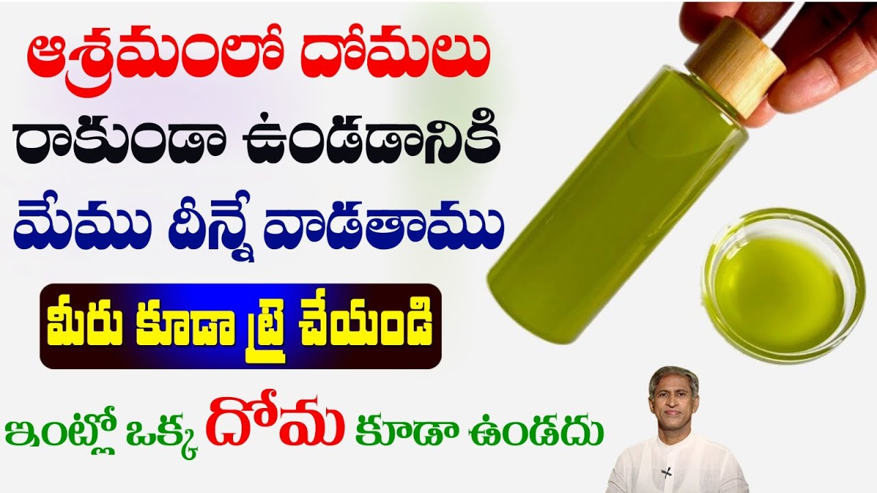 How to Prevent Mosquitoes in Home | Best Mosquito Repellents | Dr. Manthena's Health Tips
