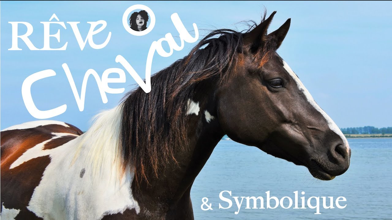 ☞☾☽☜Analyser et Comprendre les Rêves: Le Cheval 01.0☞☾☽☜ #rêve #liberté #indomptable