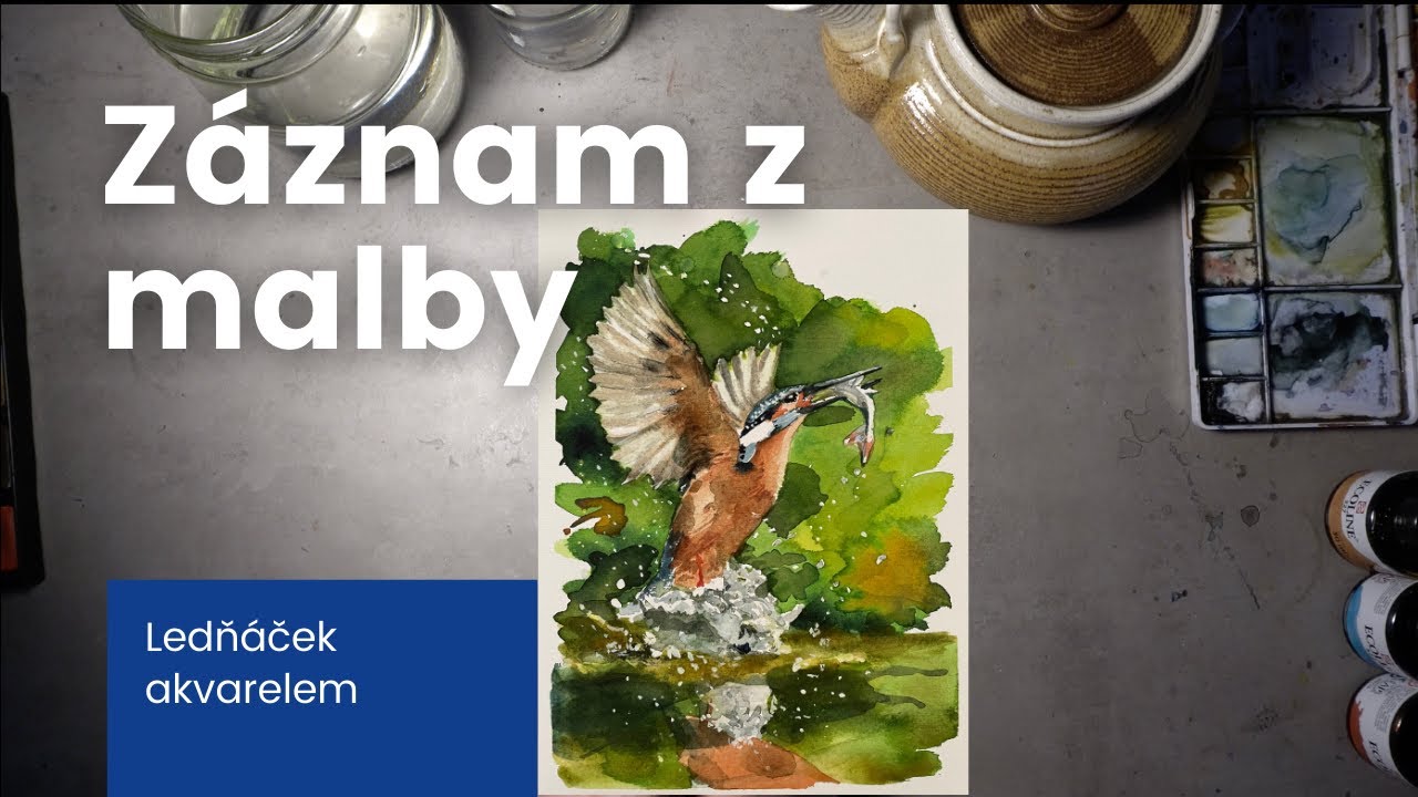 Malování ledňáčka akvarel/ záznam