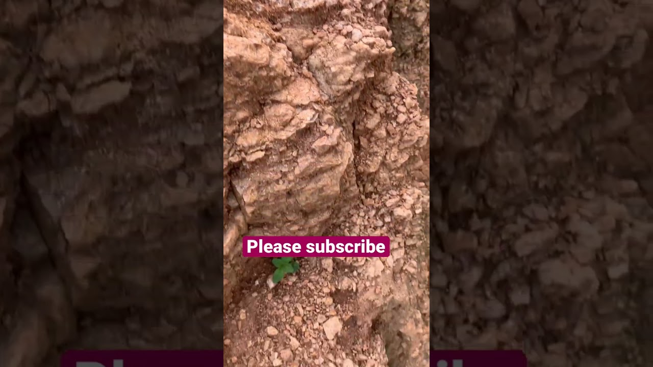 Sedimentary Rocks