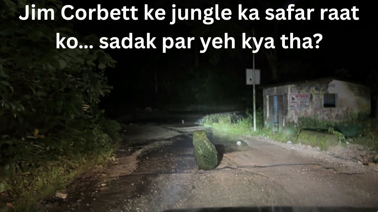 Jim Corbett ke jungle ka safar raat ko… sadak par yeh kya tha? PART 5 @Road Runner Star