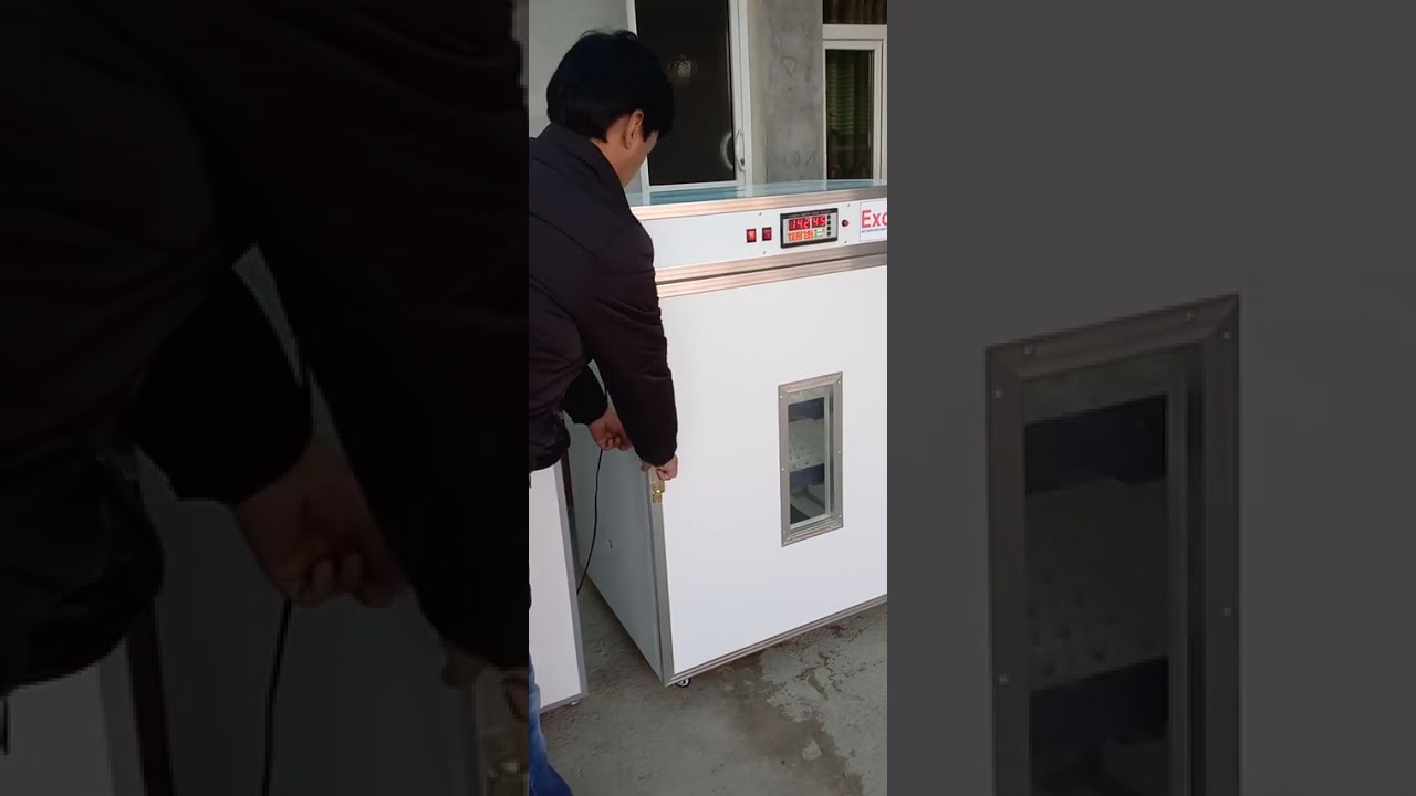Қўқон Инкубаторлари 1056 талик 528 талик ва 264 талик алоқа учун +998905703073 
