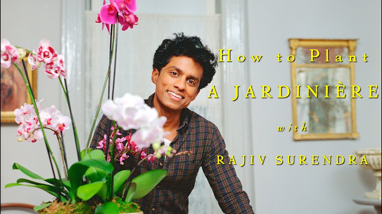 How To Plant An Orchid Jardinière With Rajiv Surendra