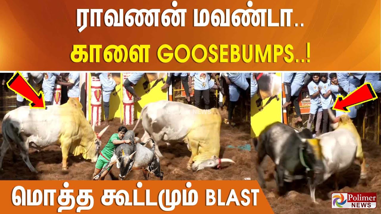 🔥ராவணன் மவண்டா..🔥காளை Goosebumps - மொத்த கூட்டமும் BLAST..! Madurai Avaniyapuram Jallikattu | Pongal