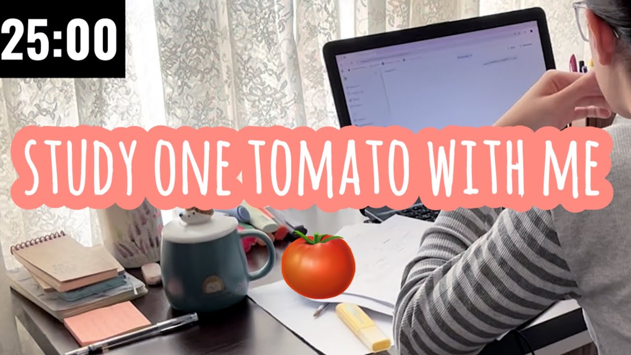 study one pomodoro with me 🍅