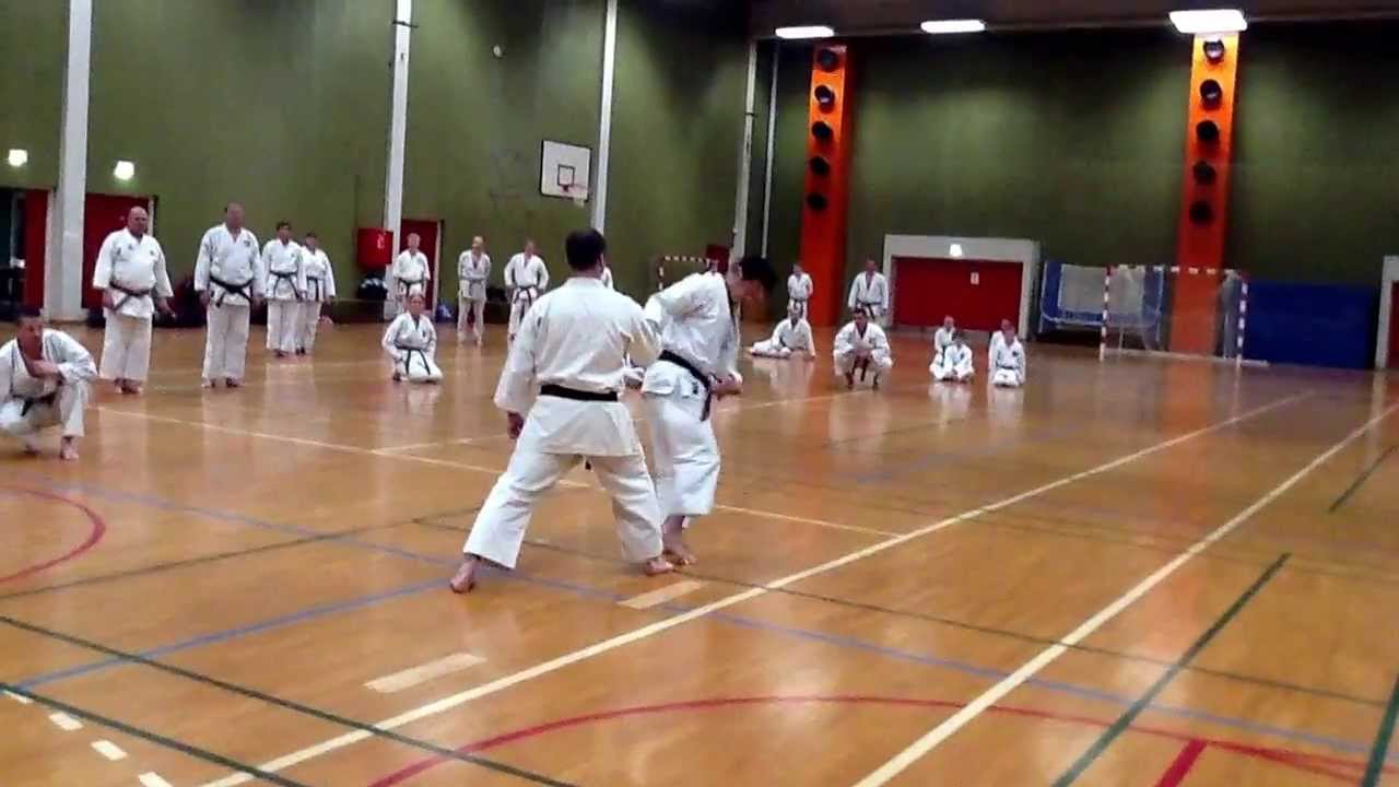 JKS Karate Yamaguchi Sensei  kicking drill JKS Denmark April 2013