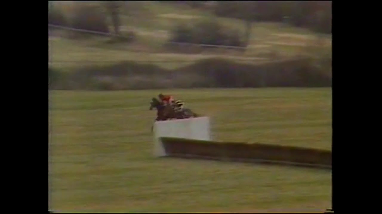 1985 Champion Chase Cheltenham Badsworth Boy