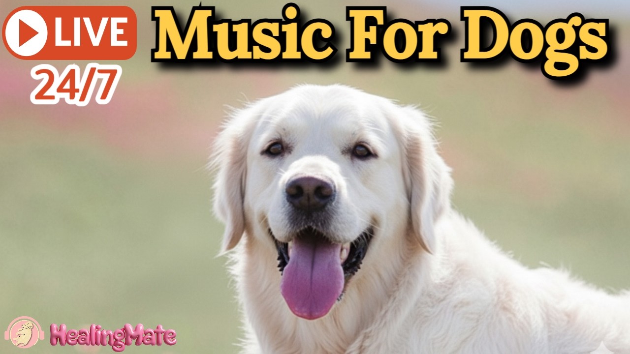 🔴24/7 Dog Music🎵🐶Relaxing Dog Music for Sleep🐶💖Soothes Separation Anxiety🦮Sleep Music for Dogs🔴22