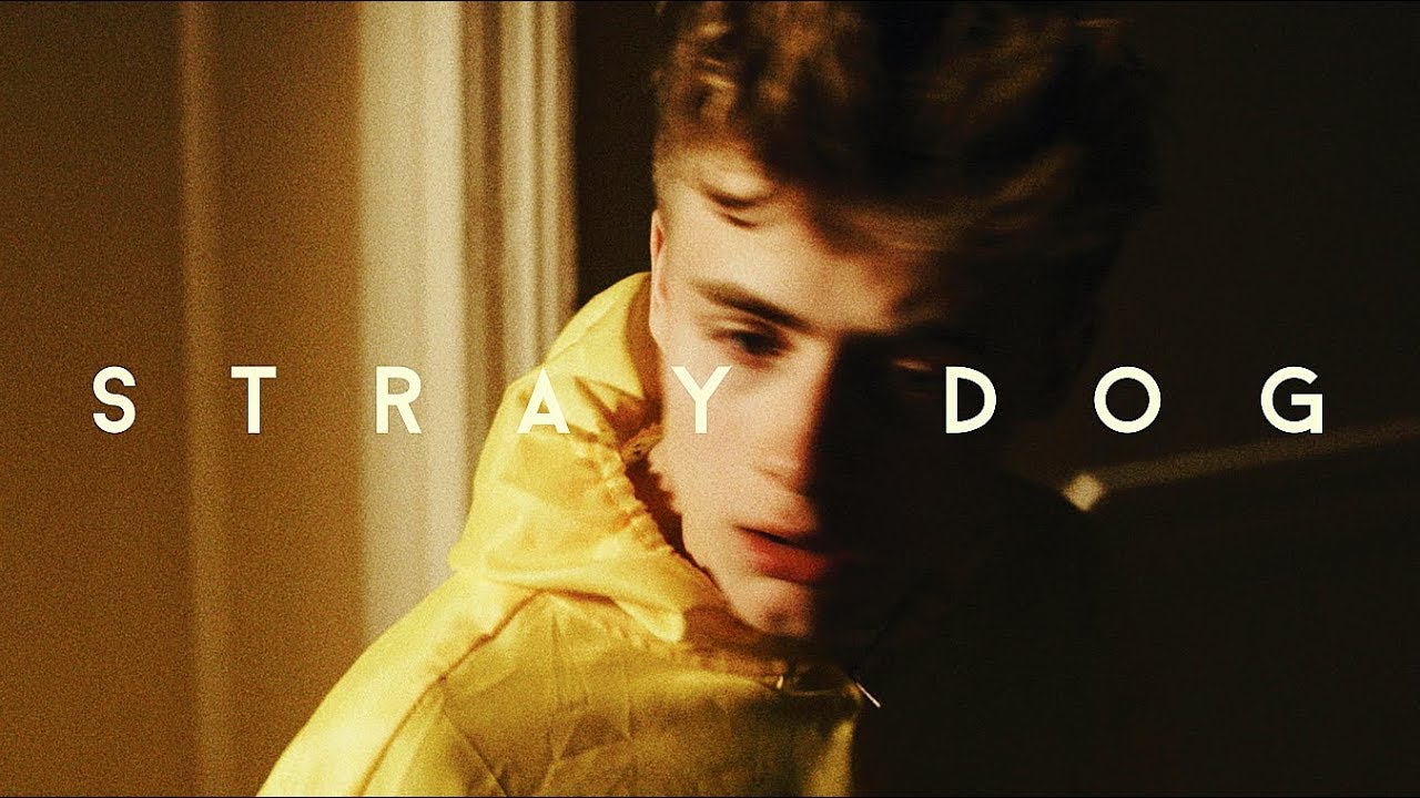 STRAY DOG - a bertie gilbert film (2013)