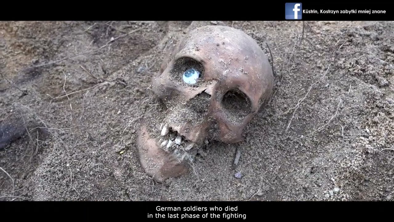 Ekshumacja żołnierzy niemieckich / Exhumation of German soldiers / Kostrzyn nad Odrą 2022/ Poland