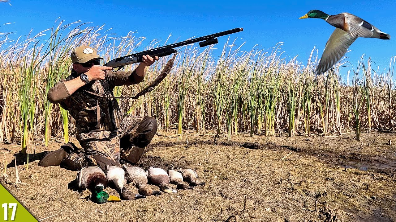 Mixed Bag LIMIT Over TINY Spread | SOLO Duck Hunting