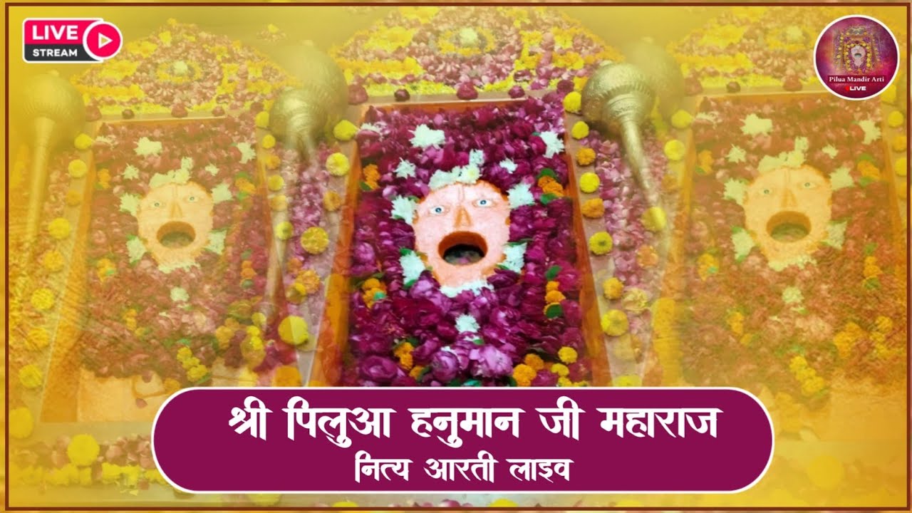 27/01/2026 सायंकाल की पावन आरती मेरे सरकार श्री पिलुआ हनुमान जी महाराज नित्य लाइव दर्शन
