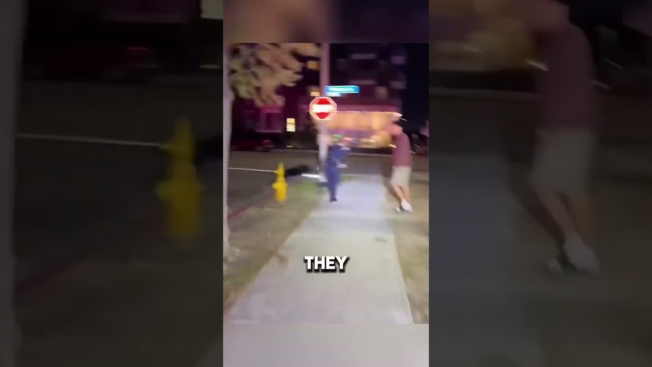 Police Dog Chases Suspect &mdash; Officer Steps In Just in Time!