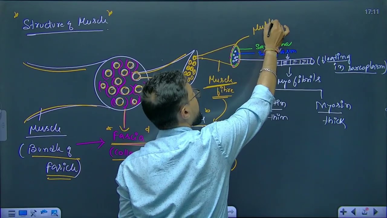 DAY-06 Biology Locomotion &  Movement #neet2026 #archlearning #ssg