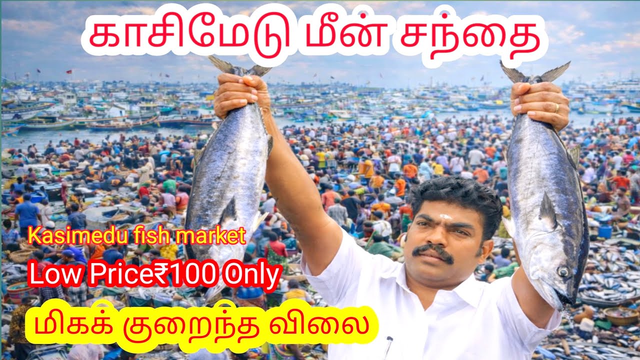 காசிமேடு மீன் மார்க்கெட்🔥மீன் ஏலம் முதல் சில்லறை கடை வரை | Full Fish Market Tour#kasimedufishmarket 