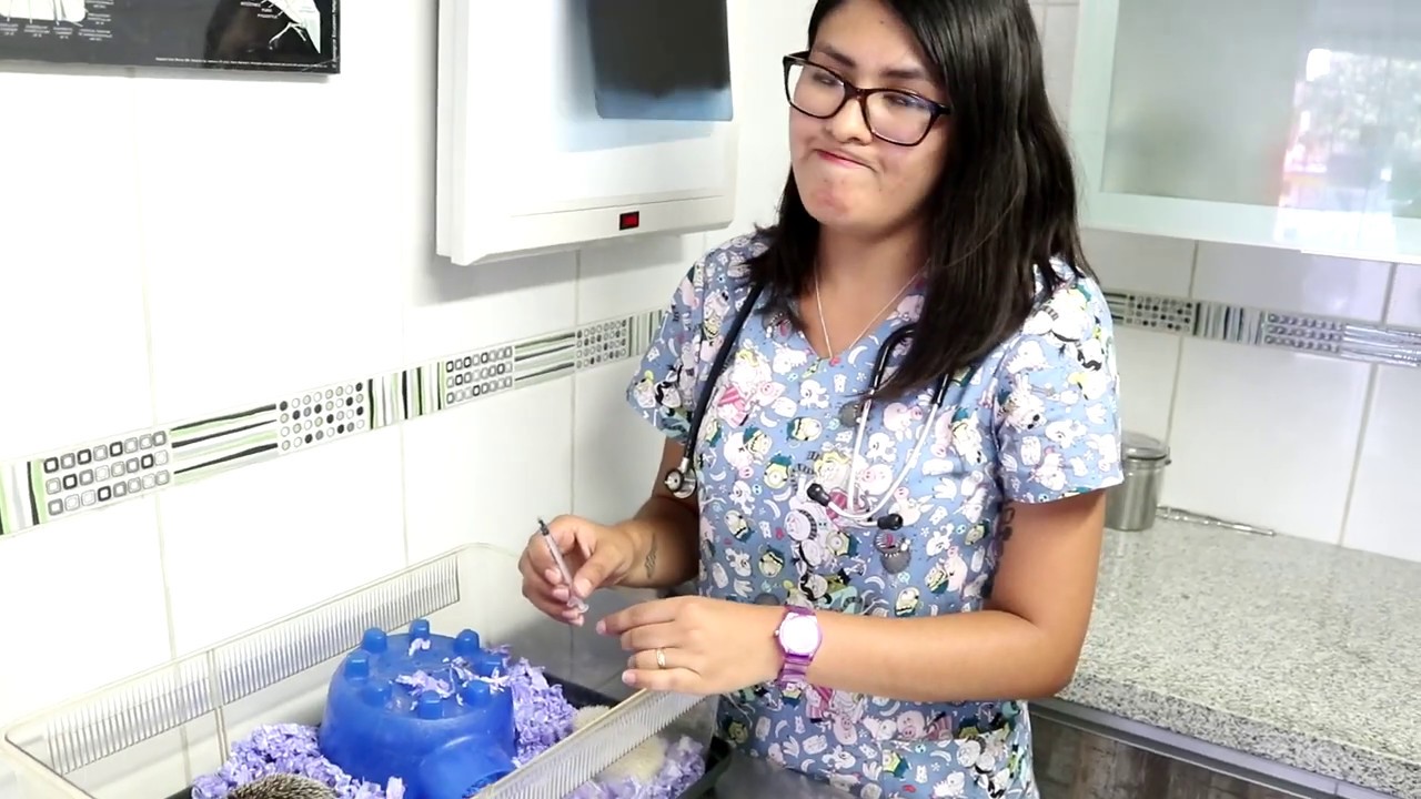 Desparacitacion a mi camada de Erizos