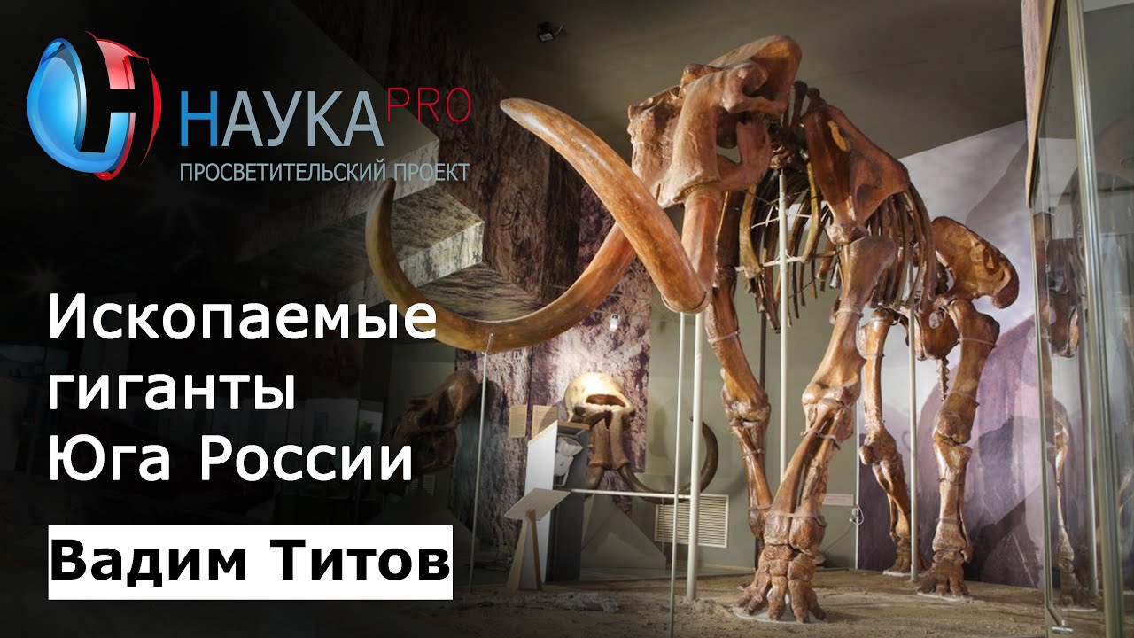 Ископаемые гиганты и другие необычные древние животные с Юга России – Вадим Титов | Научпоп