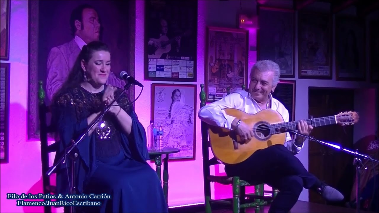 Filo de los Patios con Antonio Carrión - Fandangos por Bulerías / Pozoblanco