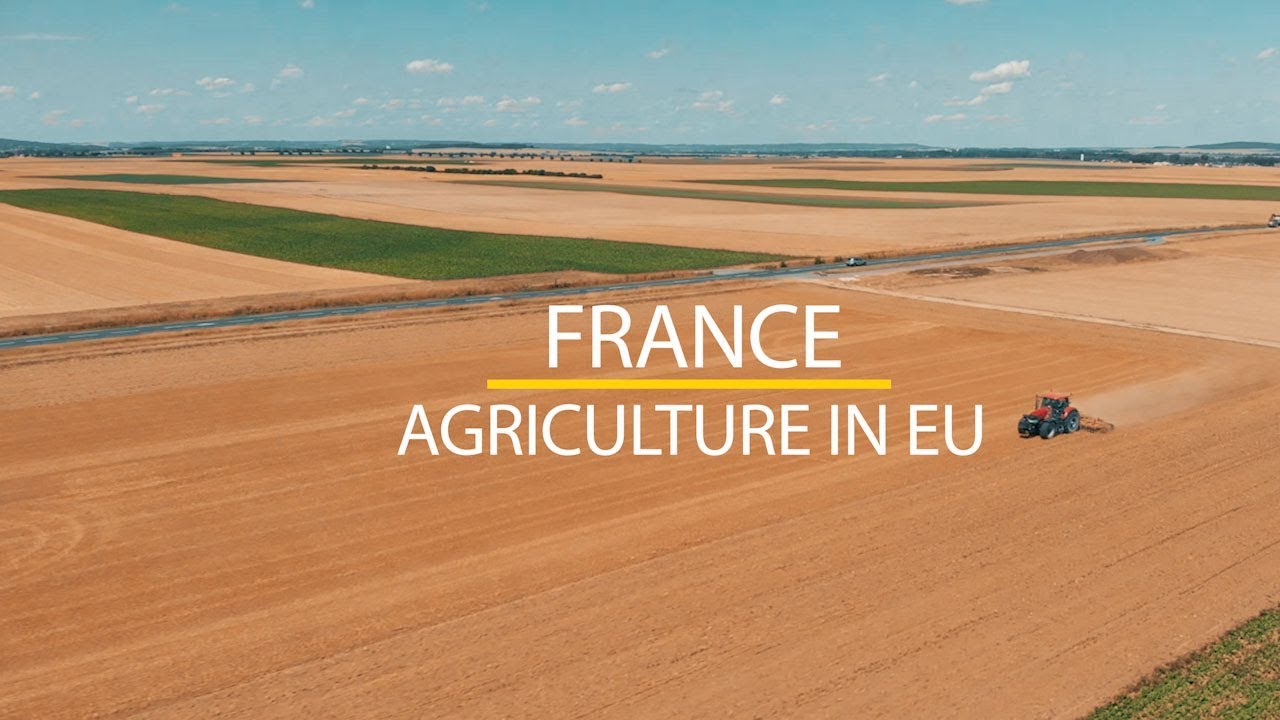 Agriculture in European Union. France. Aerial drone view in 4K