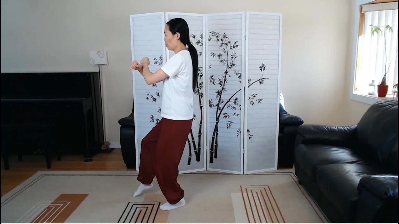 Tai Chi Yang Style 37, Seq. 31 & 32 Step Up to 7 Stars & Step Back to Ride the Tiger in Back view
