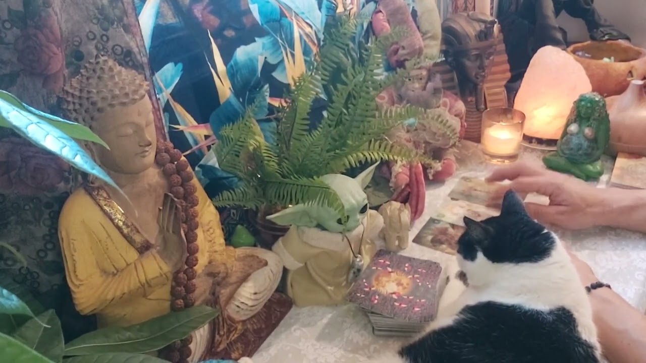 TENHA UMA RESPOSTA DO QUE TE AFLIGE NO MOMENTO((ESPIRITUALIDADE XAMÃNICA)