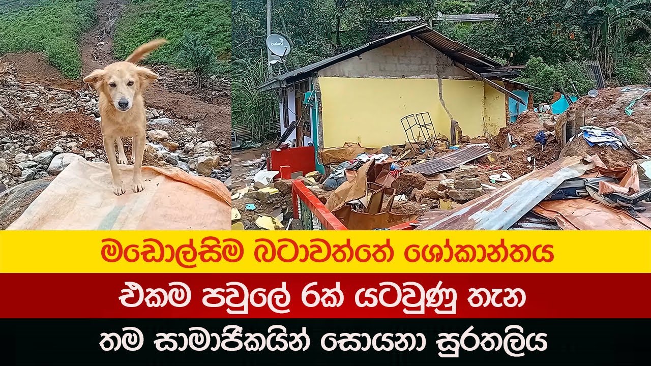 නායට යටවුණු නිවස තනි නොකරන ටයිගර් 2025.12.15 Badulupura News බදුලුපුර නිවුස්