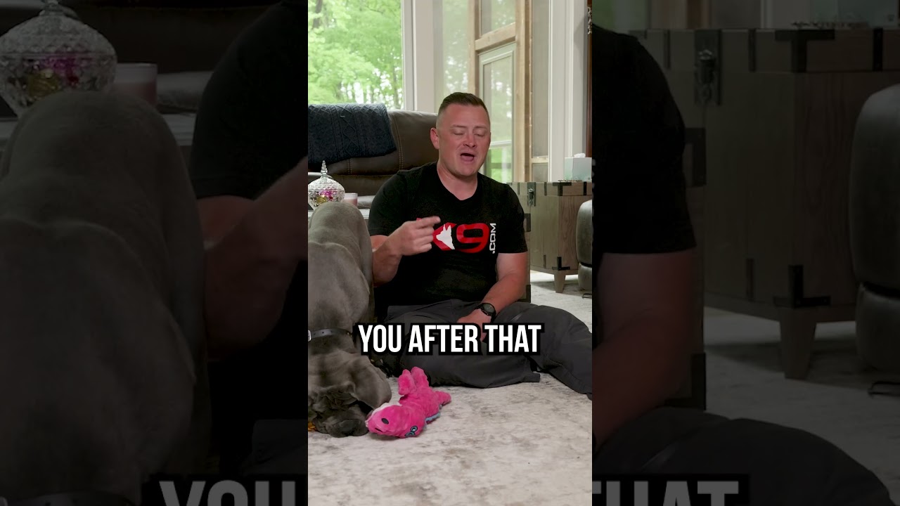 Как отучить щенка кусаться