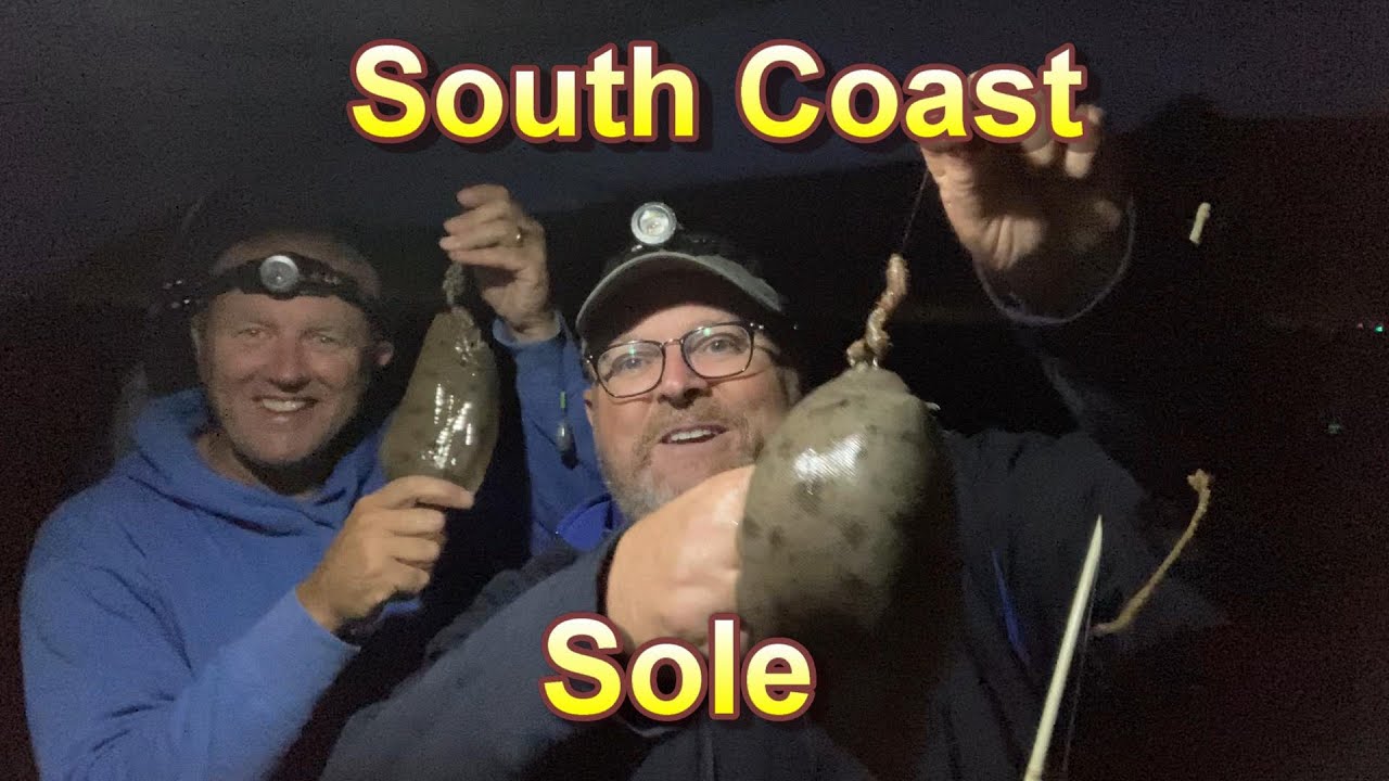 South Coast sole fishing with Wayne comben angling