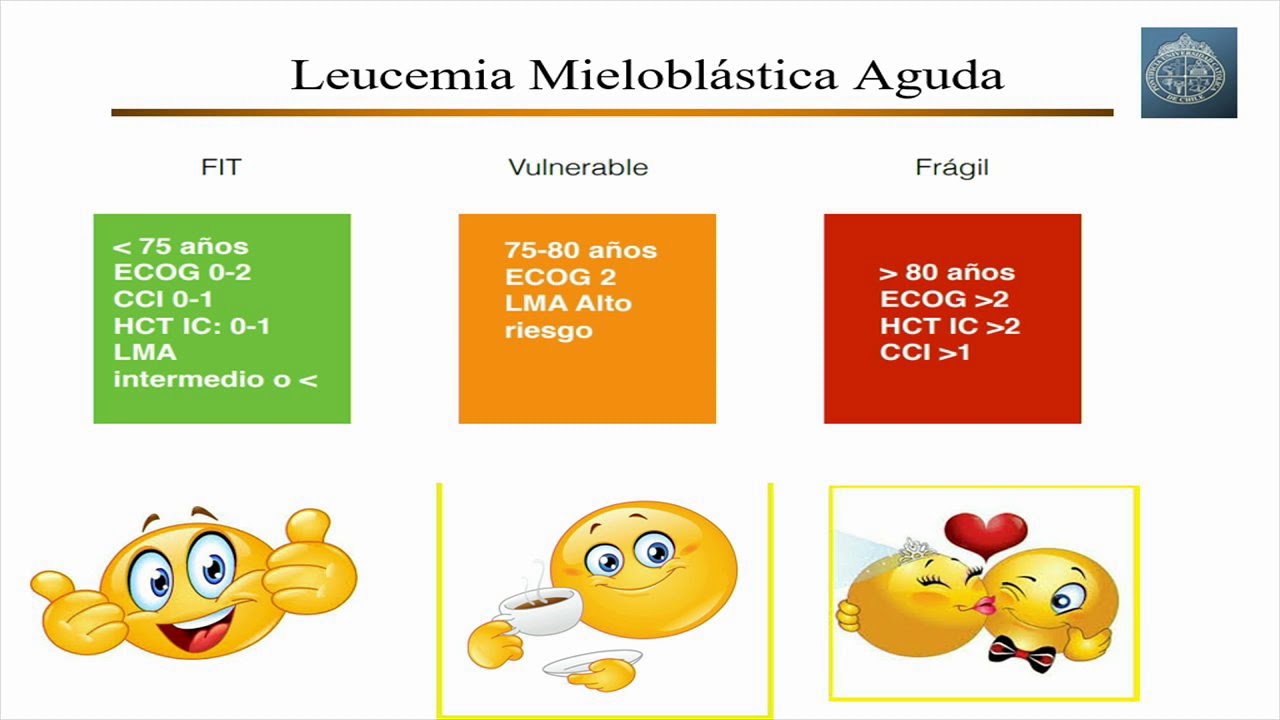 II Simposio - 16  Leucemia Mieloblástica Aguda  Dr  Mauricio Ocqueteau
