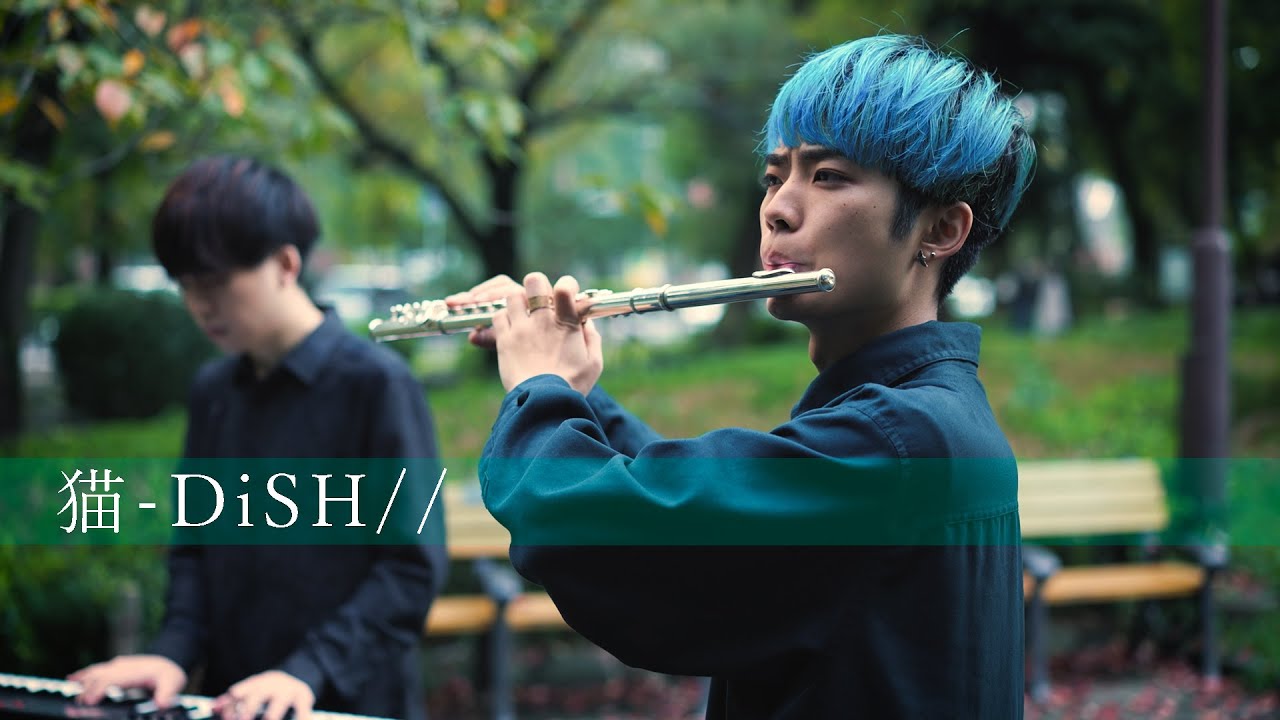 【フルート&ピアノ】DISH// 『猫』【the green horn cover】
